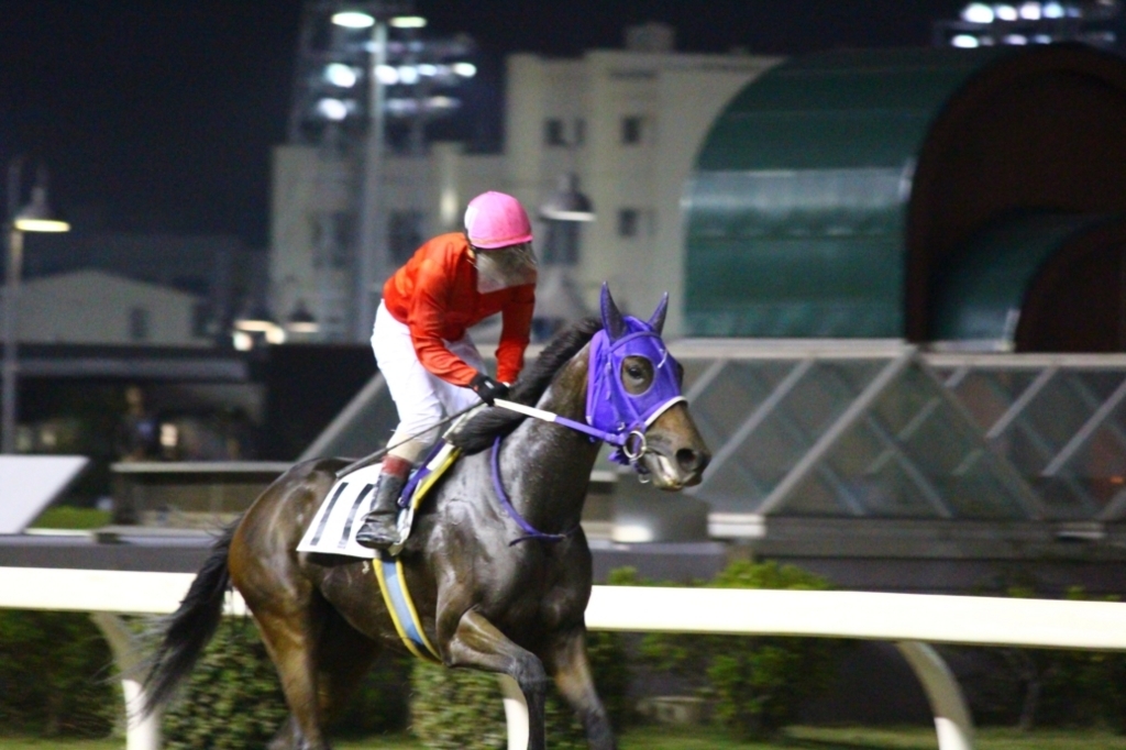 f:id:rockeyhy:20171012192053j:plain:w280