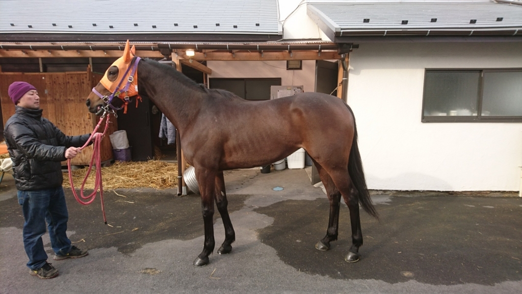 f:id:rockeyhy:20180204094026j:plain:w304