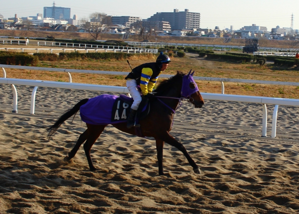 f:id:rockeyhy:20180217084547j:plain:w240