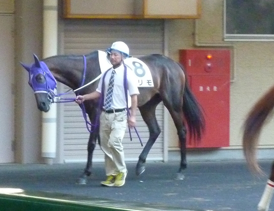 f:id:rockeyhy:20180817174927j:plain:w264