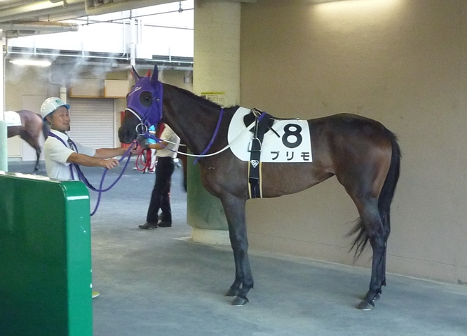 f:id:rockeyhy:20180817174959j:plain:w280