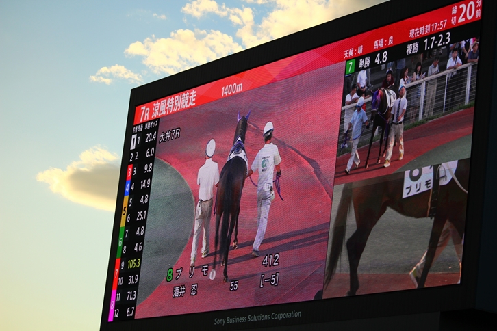 f:id:rockeyhy:20180817181356j:plain:w200