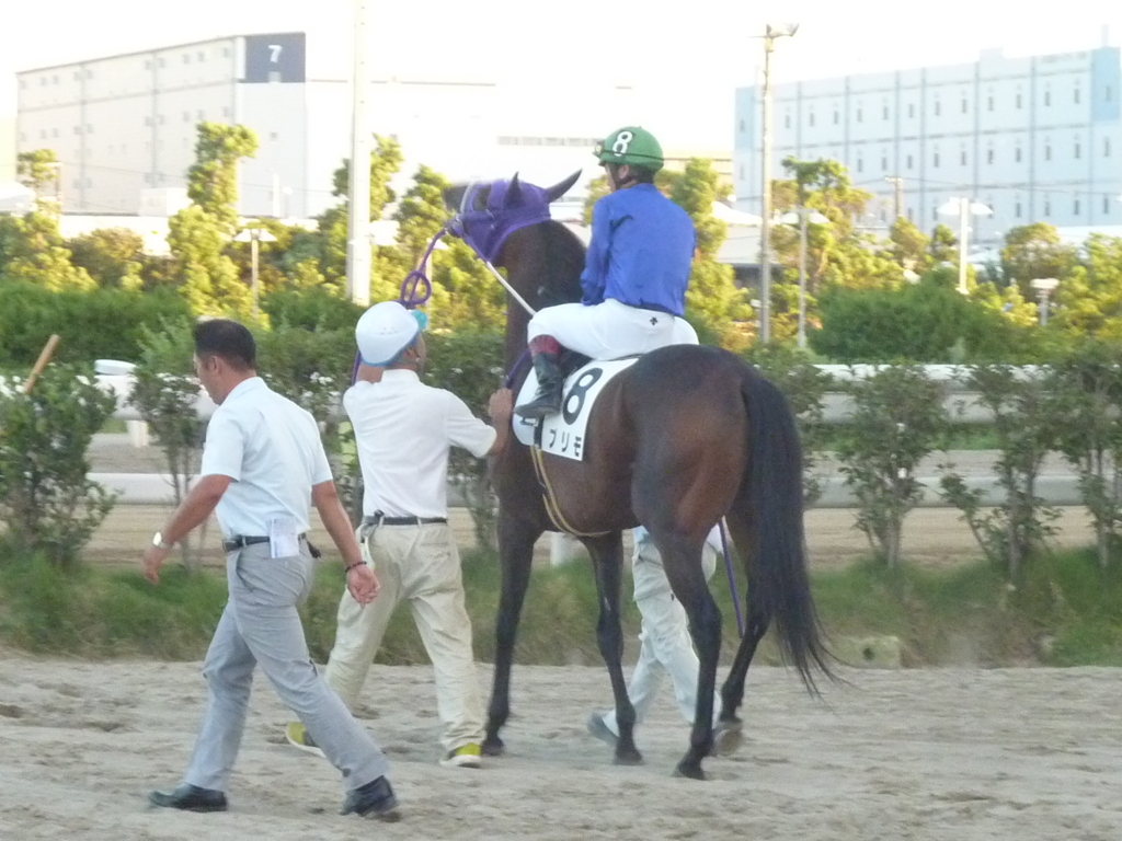 f:id:rockeyhy:20180817181843j:plain:w180