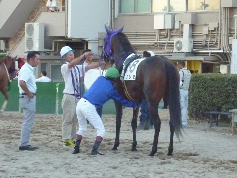 f:id:rockeyhy:20180817183610j:plain:w177