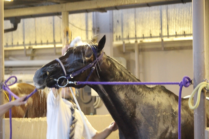 f:id:rockeyhy:20180817185702j:plain:w280