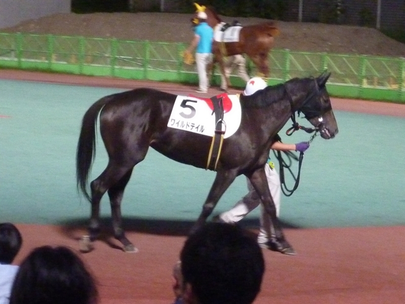 f:id:rockeyhy:20180817190544j:plain:w280