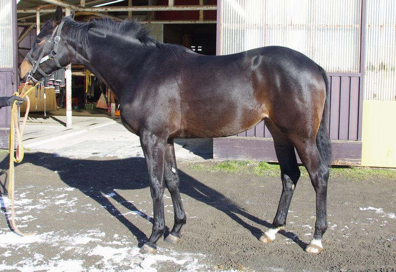 f:id:rockeyhy:20181214105414j:plain:w338