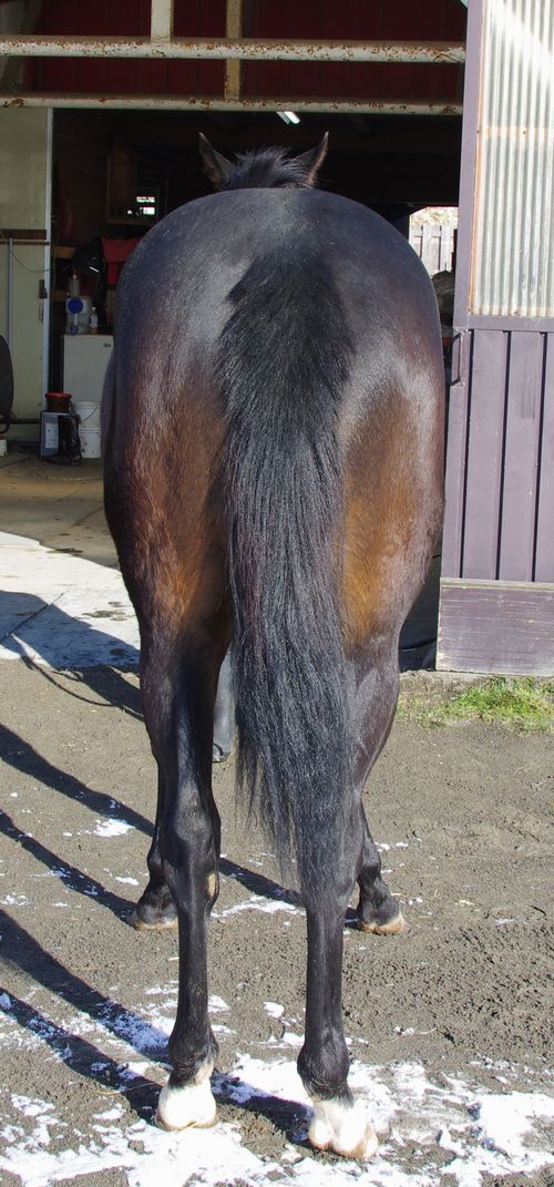 f:id:rockeyhy:20181214105735j:plain:w108