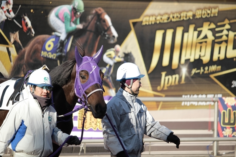 f:id:rockeyhy:20190128145438j:plain:w200