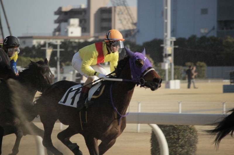 f:id:rockeyhy:20190128152540j:plain:w200