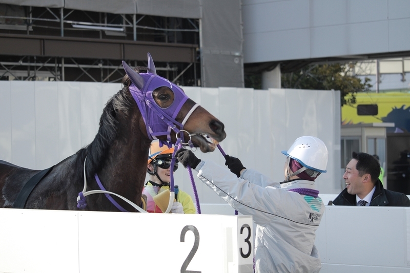 f:id:rockeyhy:20190128152917j:plain:w200