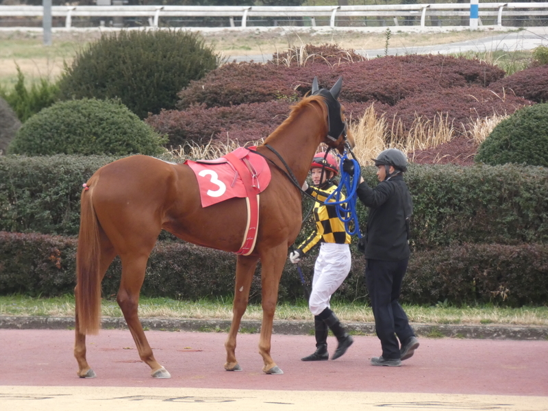 f:id:rockeyhy:20190306154557j:plain:w300