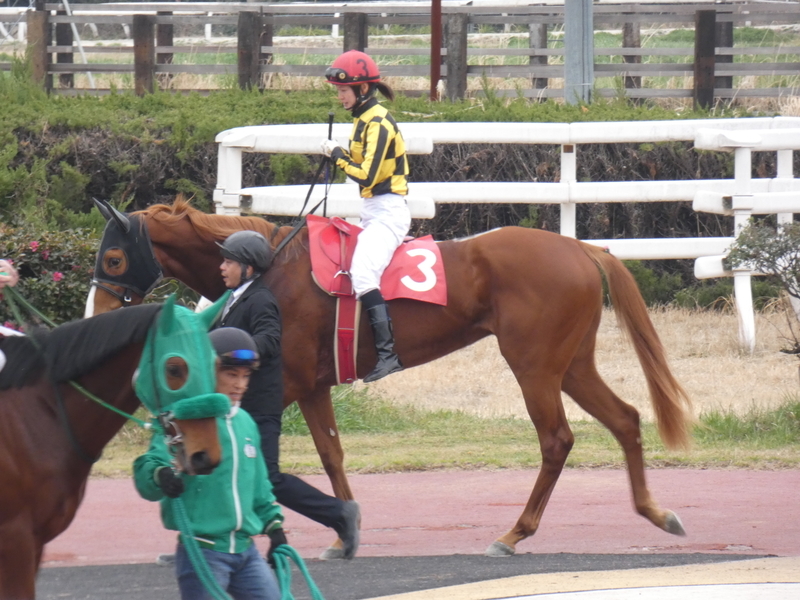 f:id:rockeyhy:20190306154615j:plain:w300