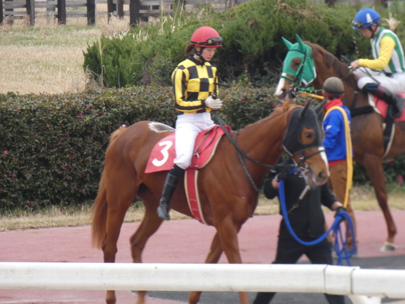 f:id:rockeyhy:20190306154622j:plain:w300