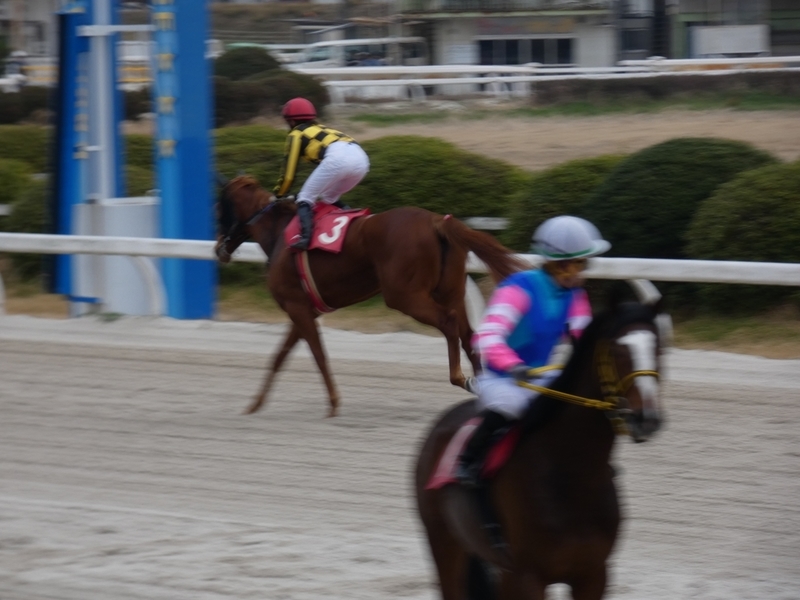 f:id:rockeyhy:20190306154721j:plain:w200