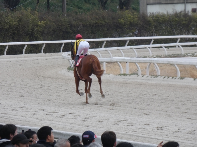 f:id:rockeyhy:20190306154725j:plain:w200