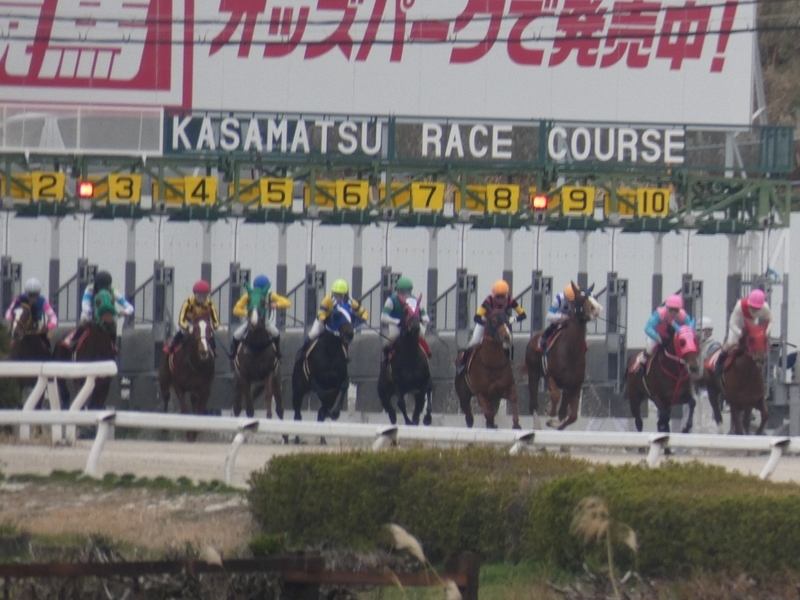 f:id:rockeyhy:20190306160017j:plain:w300