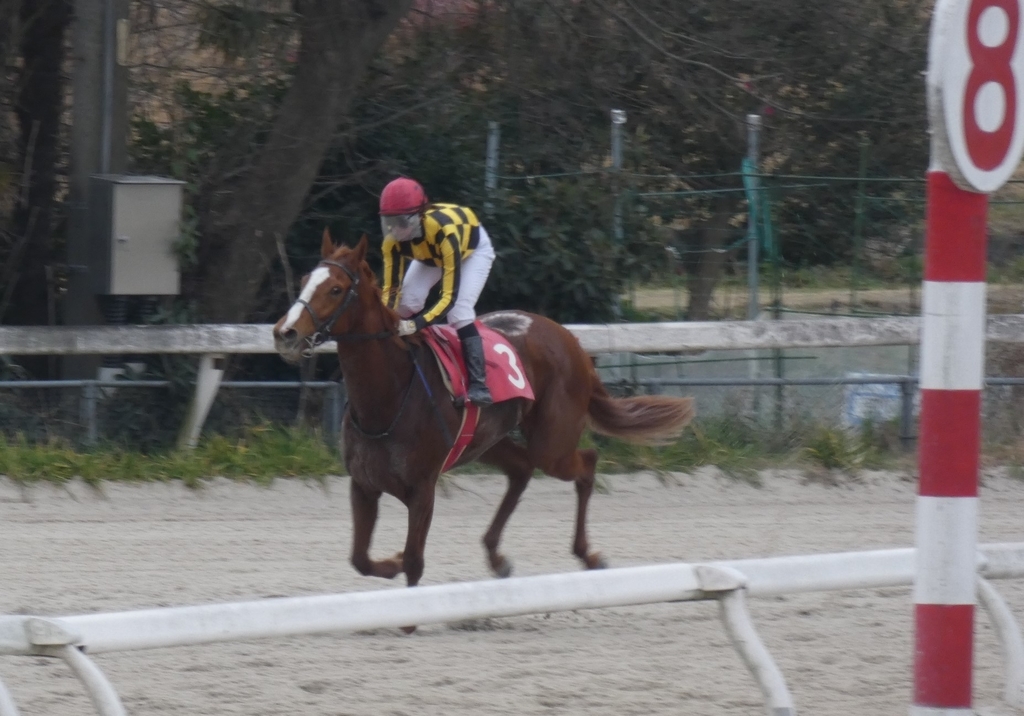 f:id:rockeyhy:20190306160307j:plain:w316