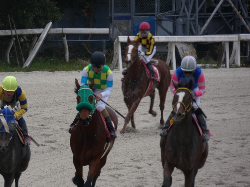 f:id:rockeyhy:20190306160310j:plain:w296