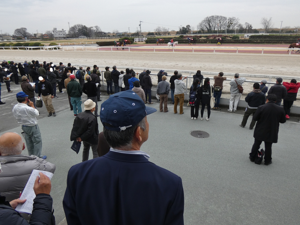 f:id:rockeyhy:20190306222239j:plain:w300