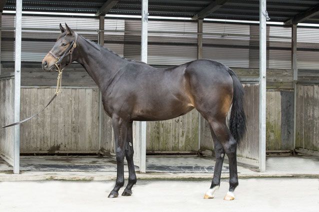 f:id:rockeyhy:20190323133929j:plain:w300