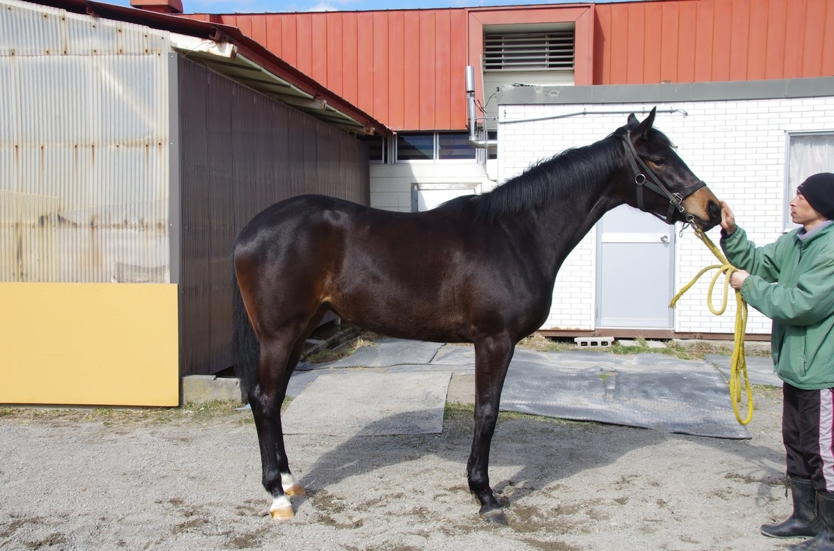 f:id:rockeyhy:20190331220937j:plain:w300