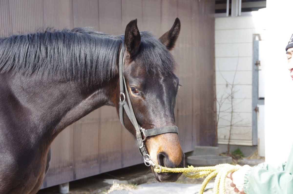 f:id:rockeyhy:20190331220951j:plain:w300