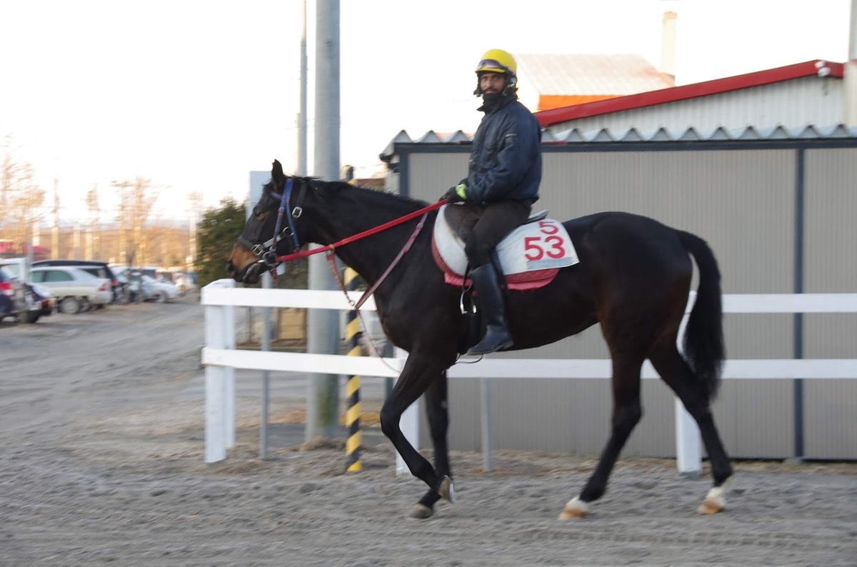 f:id:rockeyhy:20190331221006j:plain:w300