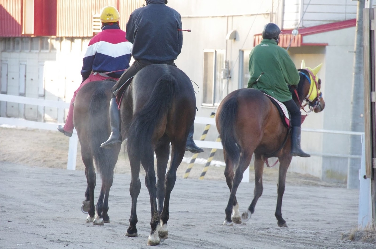 f:id:rockeyhy:20190331221019j:plain:w300