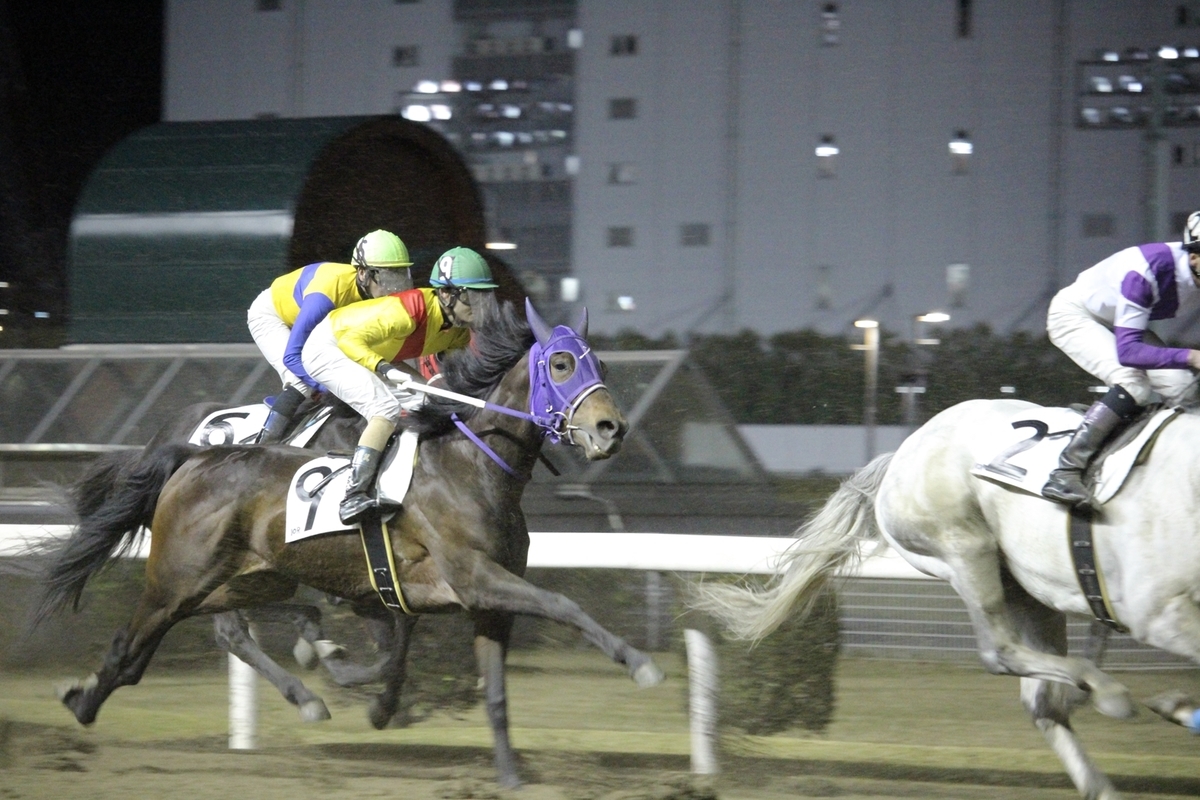 f:id:rockeyhy:20190401200144j:plain:w300