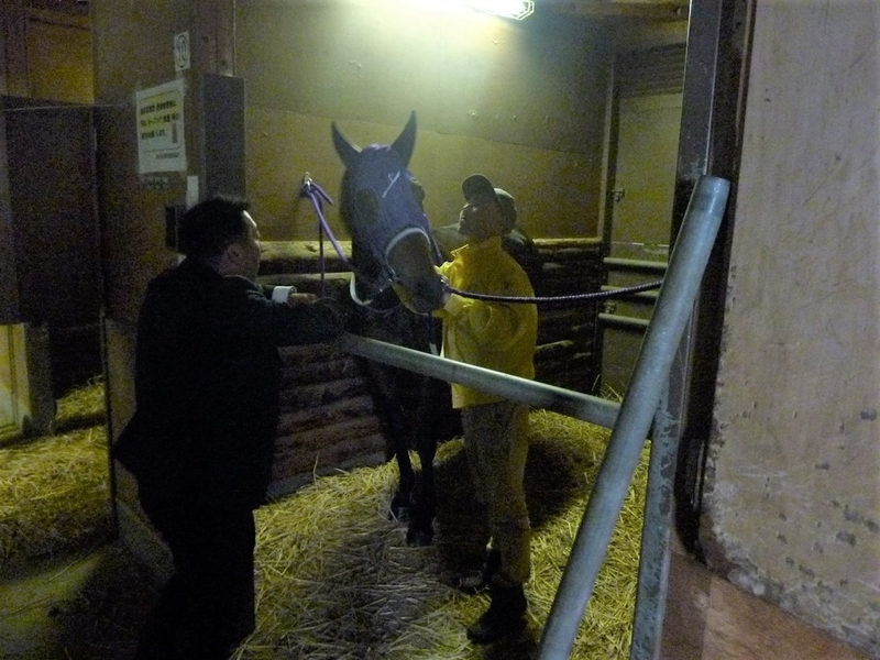 f:id:rockeyhy:20190430160549j:plain:w200