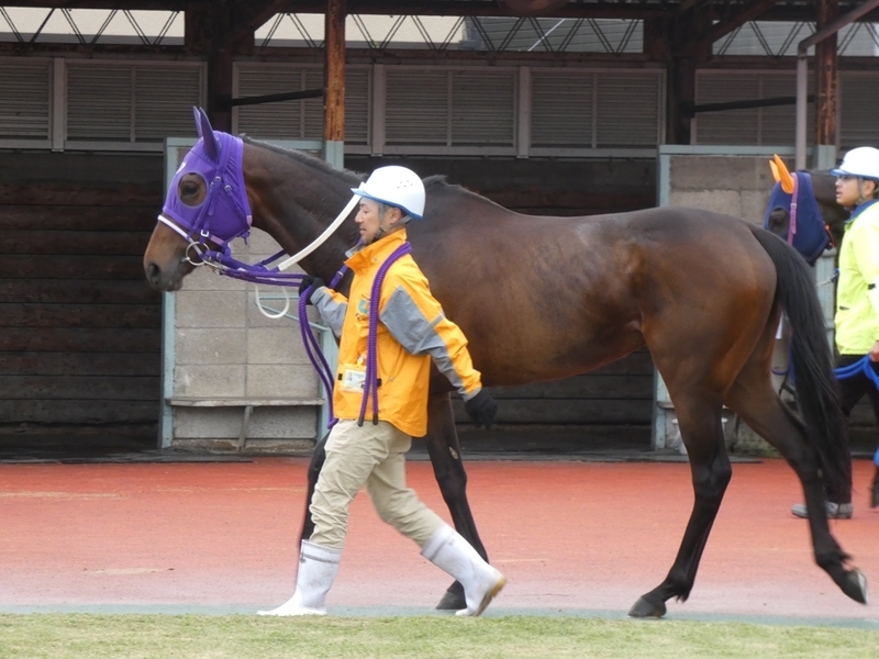 f:id:rockeyhy:20190430162245j:plain:w200