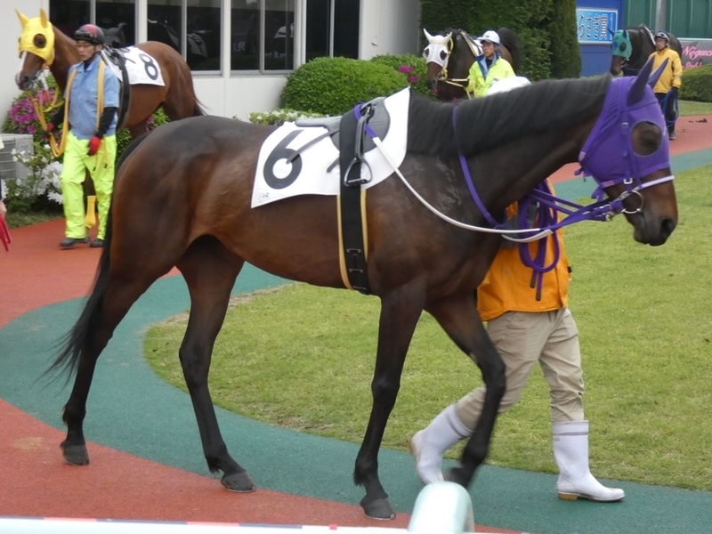 f:id:rockeyhy:20190430165252j:plain:w200