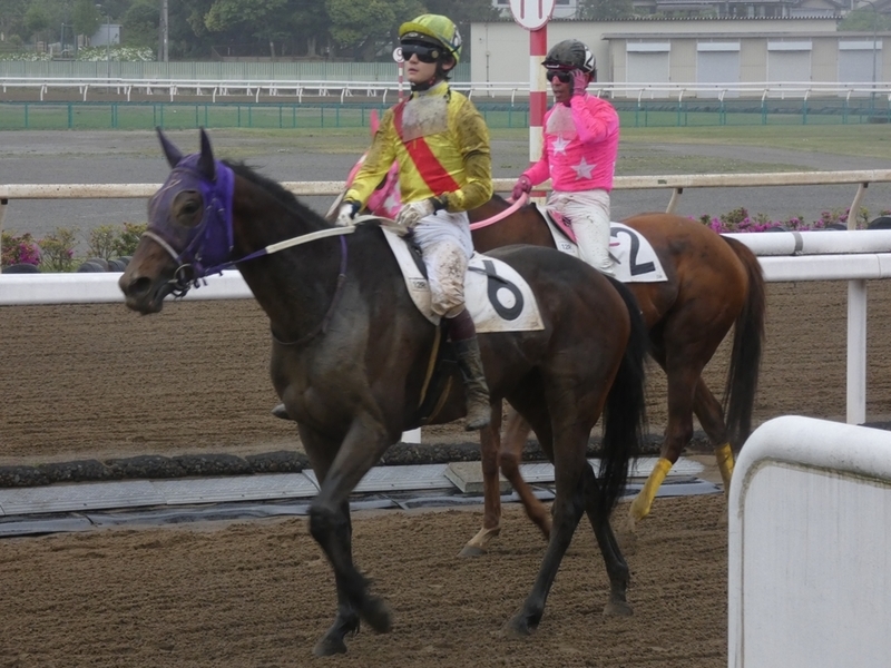 f:id:rockeyhy:20190430172549j:plain:w200