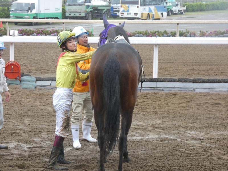 f:id:rockeyhy:20190430172621j:plain:w200