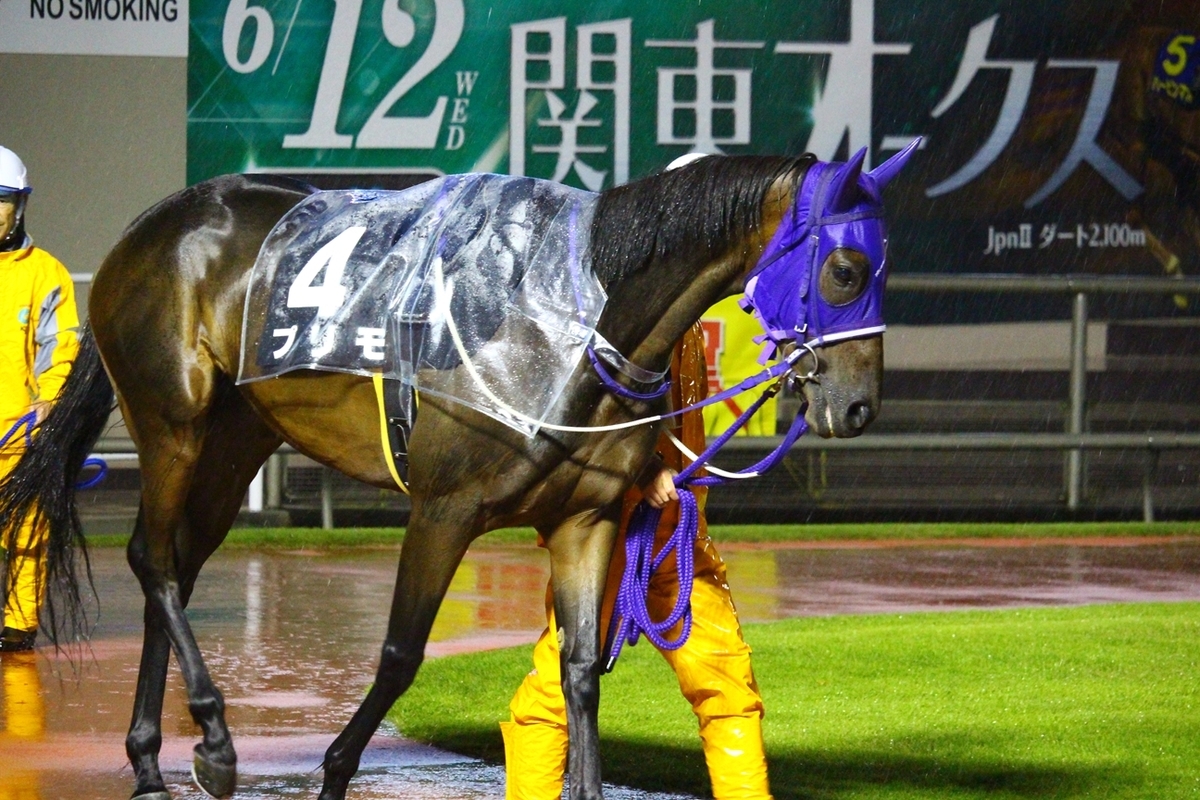 f:id:rockeyhy:20190610201547j:plain:w300