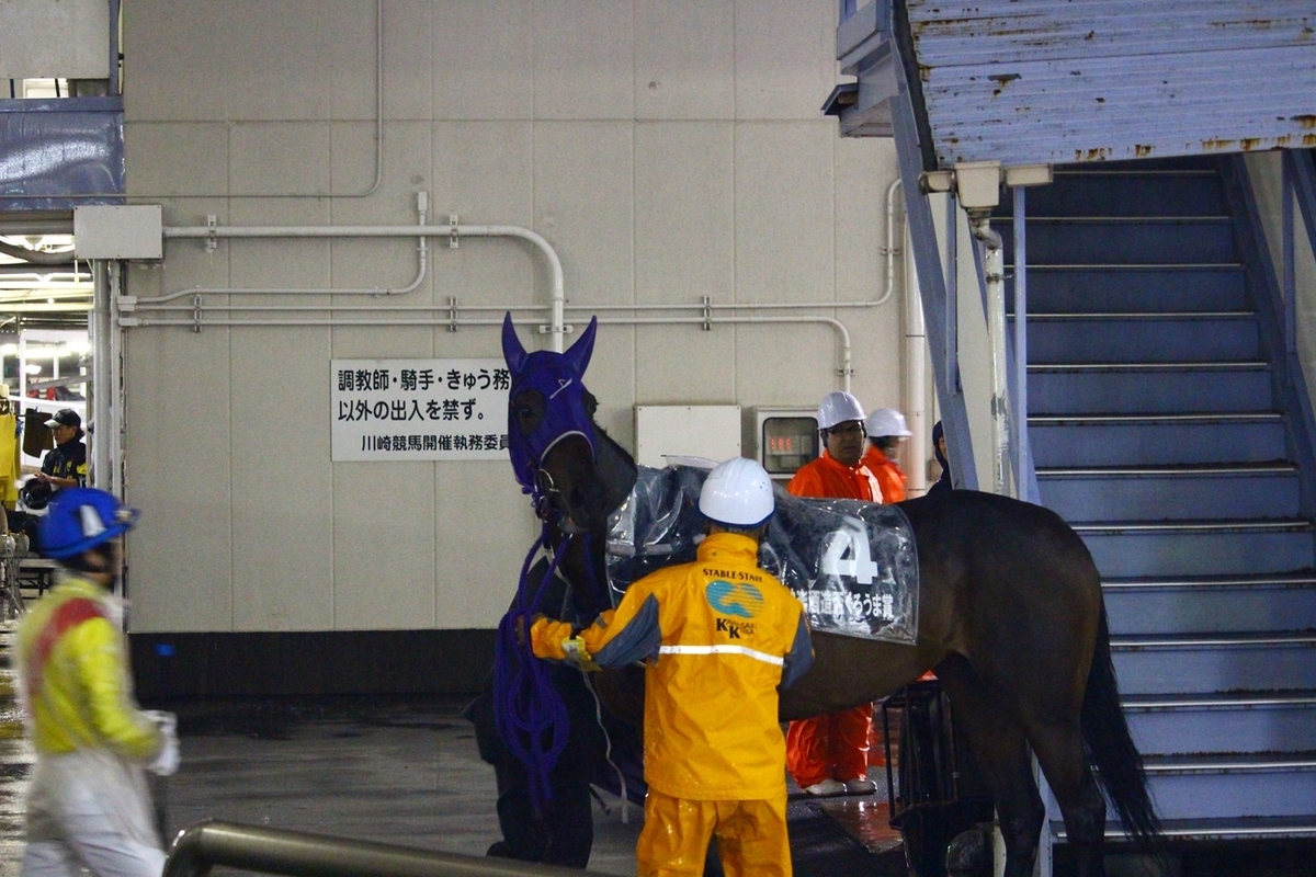 f:id:rockeyhy:20190610202110j:plain:w300