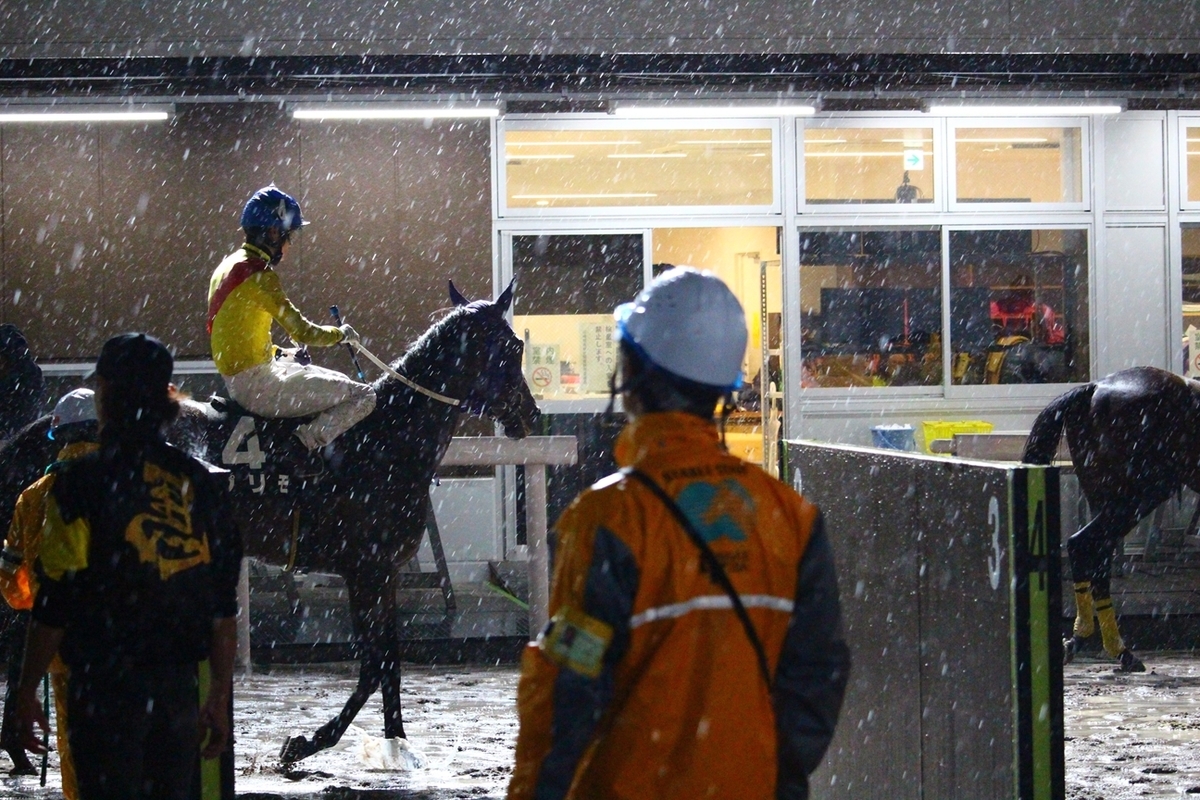 f:id:rockeyhy:20190610204033j:plain:w300