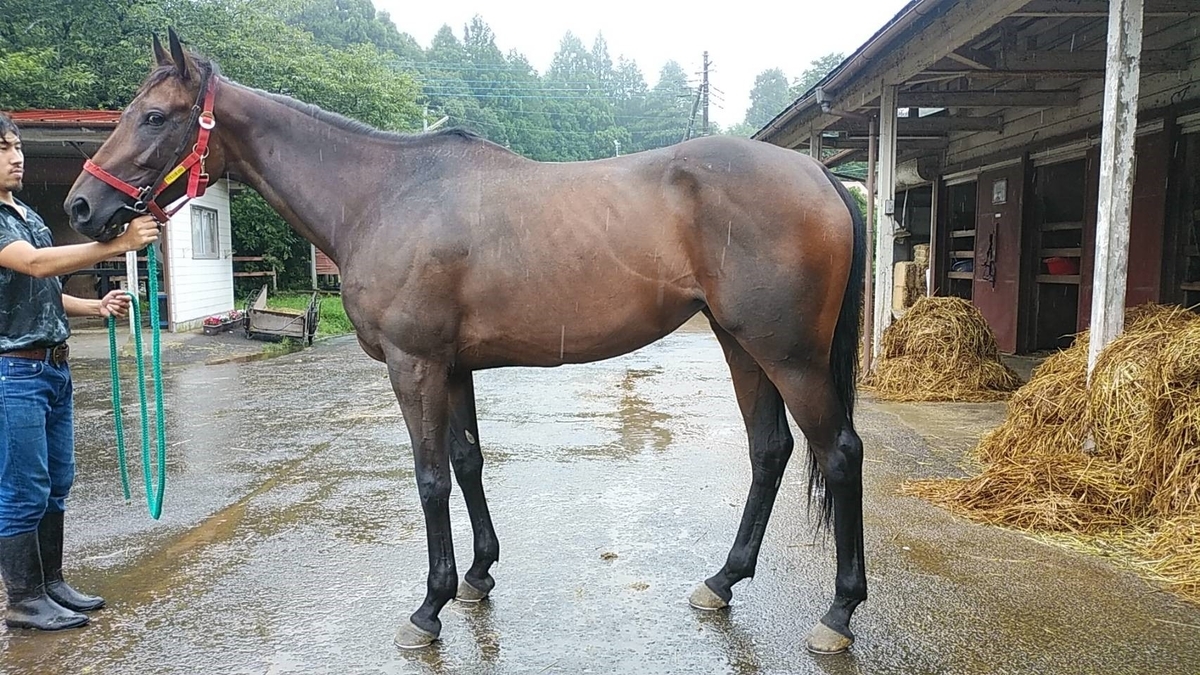 f:id:rockeyhy:20190707231013j:plain:w280