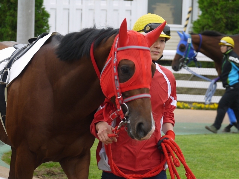 f:id:rockeyhy:20190719215138j:plain:w300