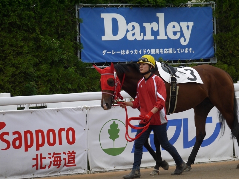 f:id:rockeyhy:20190719215145j:plain:w300