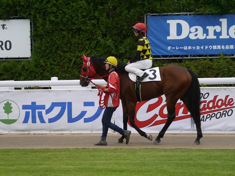 f:id:rockeyhy:20190719215149j:plain:w300