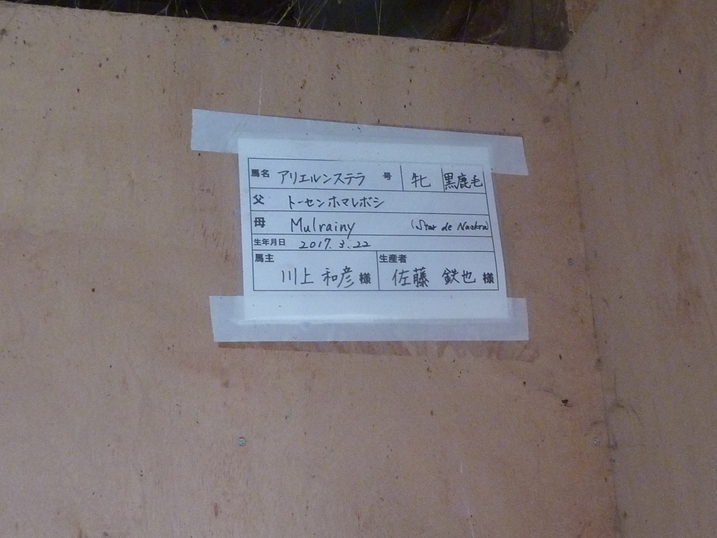 f:id:rockeyhy:20191101153056j:plain:w226 f:id:rockeyhy:20191101153056j:plain:w226