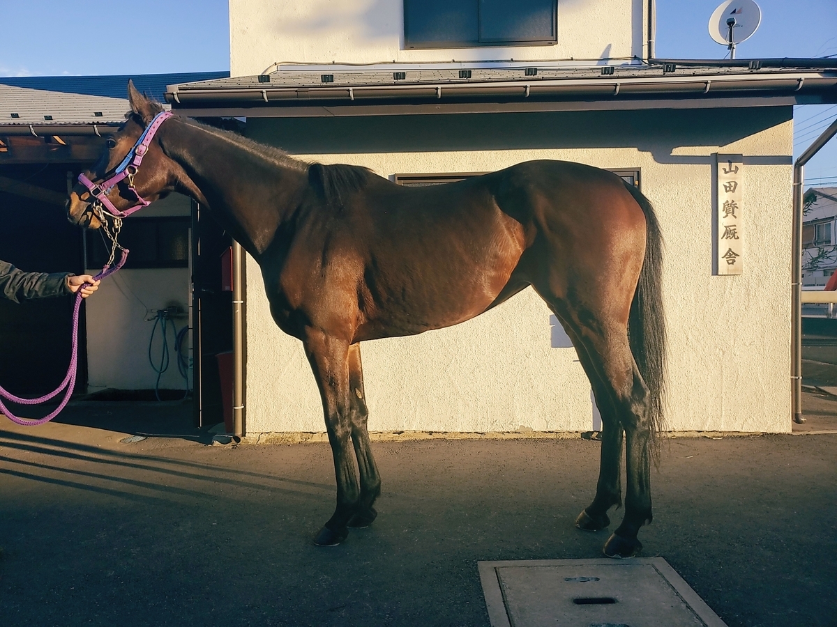 f:id:rockeyhy:20191110081800j:plain:w280