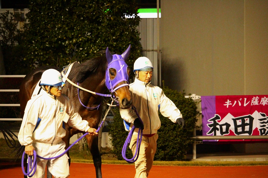 f:id:rockeyhy:20191120192319j:plain:w300