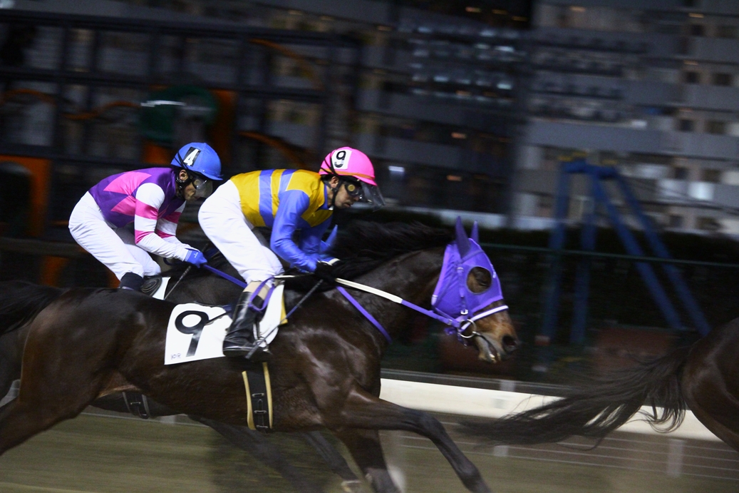 f:id:rockeyhy:20191120195521j:plain:w300