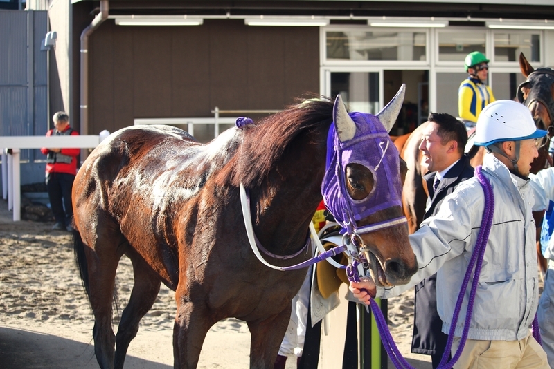 f:id:rockeyhy:20200103144850j:plain:w300