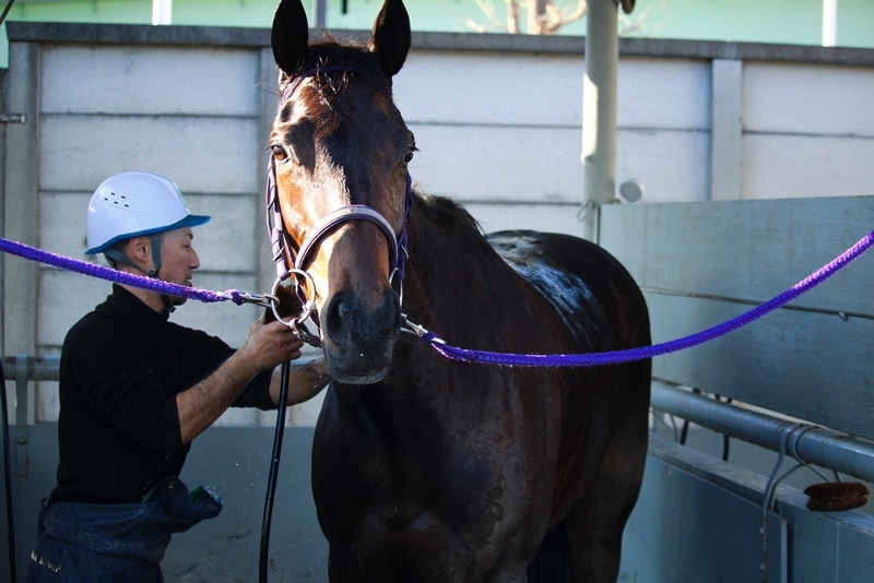 f:id:rockeyhy:20200103150231j:plain:w300