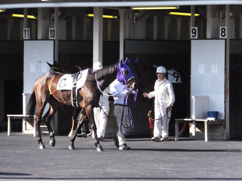 f:id:rockeyhy:20200304223339j:plain:w200