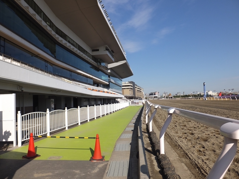 f:id:rockeyhy:20200304223416j:plain:w200